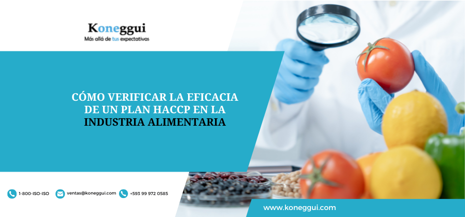 CMO-VERIFICAR